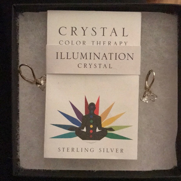 Alex and Ani (+) Energy Crystal drop Earrings - Picture 3 of 6